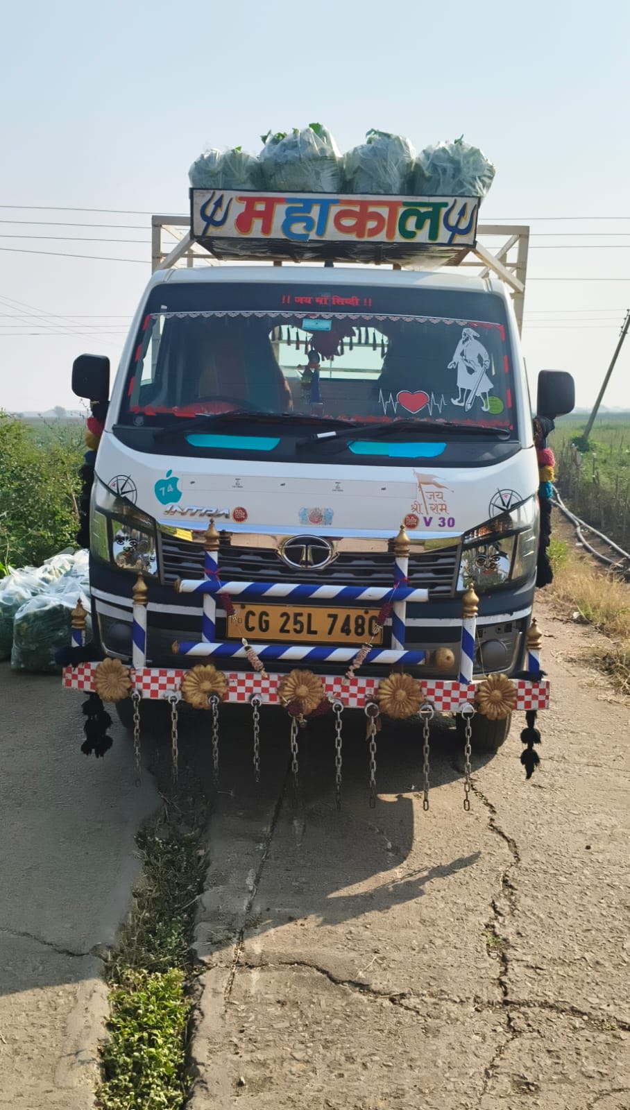 TATA MOTORS Intra V30